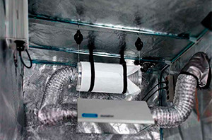 угольный фильтр конопля