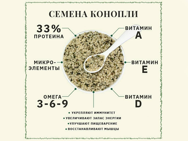 Состав конопляного семени Из чего состоят семена конопли