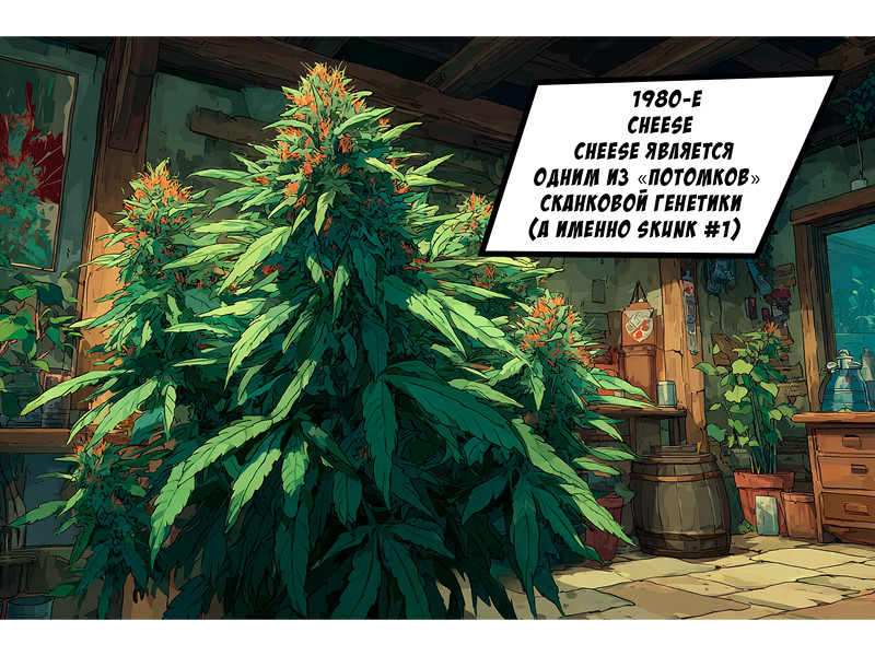 1980-е и марихуана