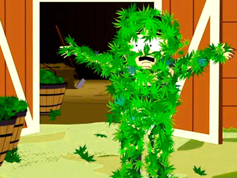 Рекомендации для гровера при задержании Полиция стучит к гроверу