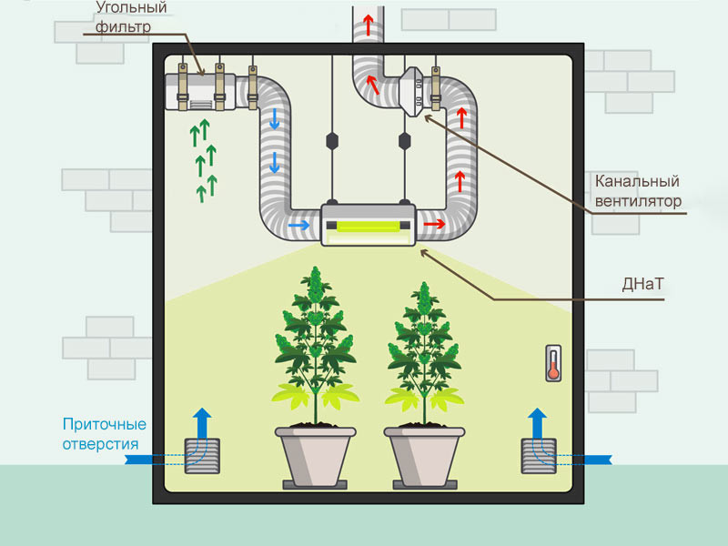 Схема строения гроубокса Схема строения гроубокса для конопли с использованием ДНаТ
