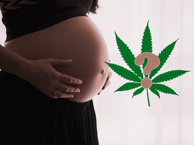 Каннабис и беременность Беременность и конопля