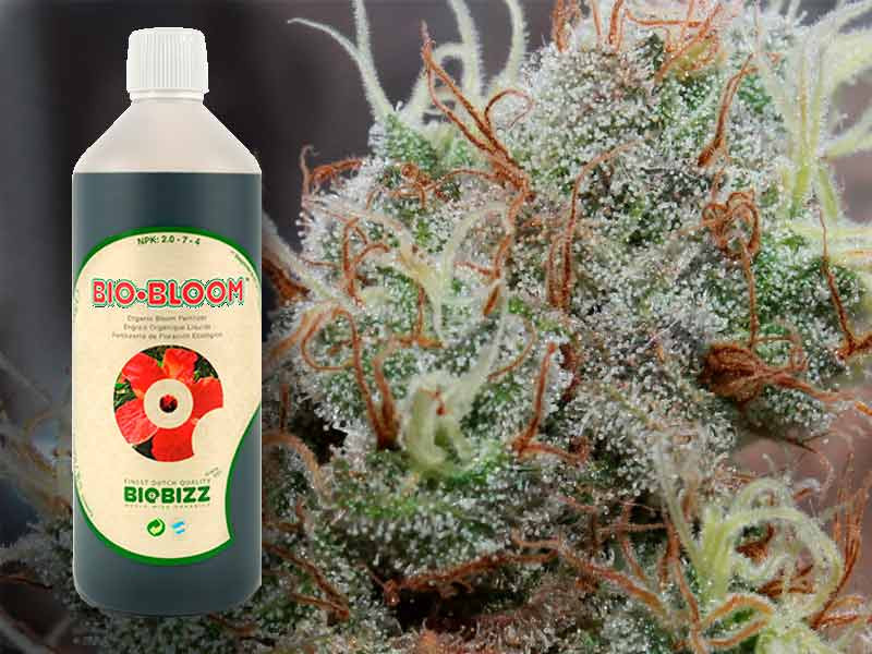 Стимулятор цветения для органики Bio Bloom органика