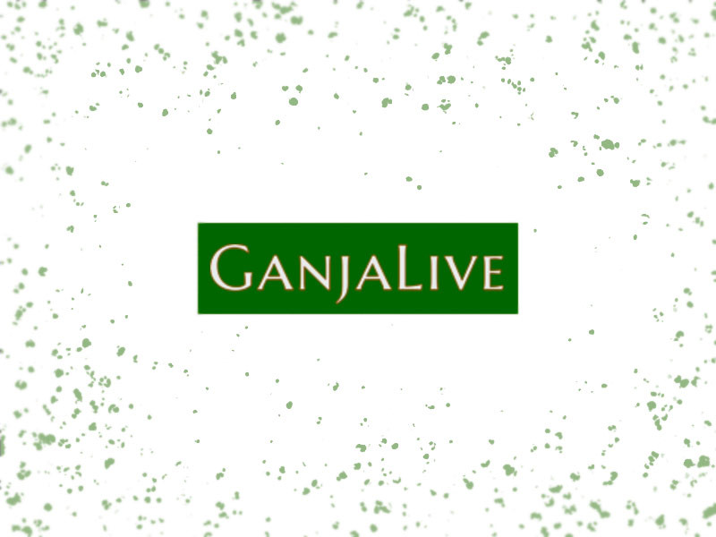 Ресурс Ganjalive club Ganjalive club